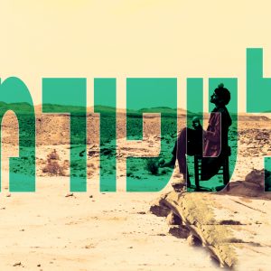 פלטפורמה 1.0 | 11-12.6 בשעה 20:30