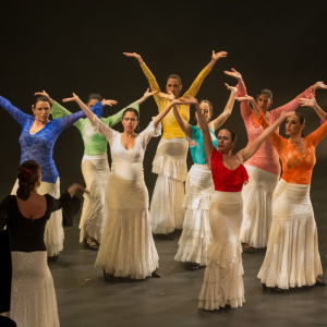 פלמנקו בתאו – Flamenco de Ida y Vuelta <br> <br> 30.4 בשעה 20:30